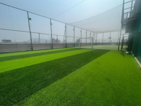 Turf 